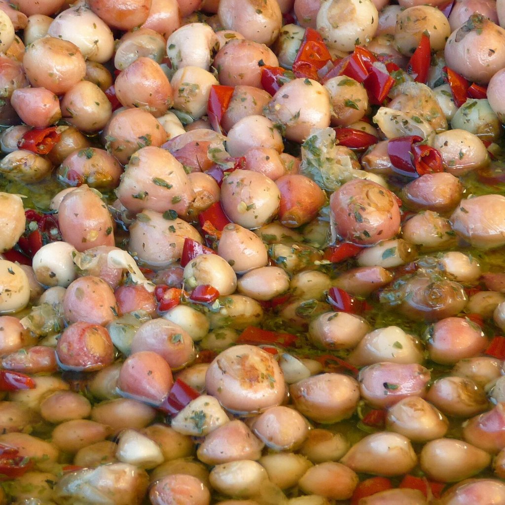 Oignons sauvages