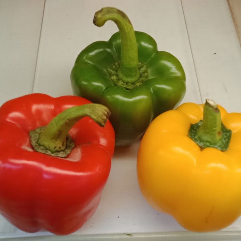 Poivron rouge